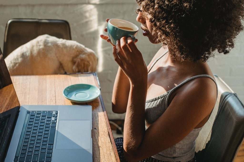 african american female freelancer using netbook near dog